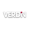 Verdin.jpg